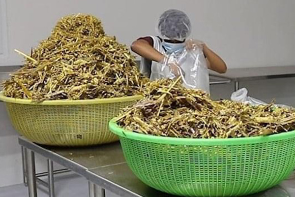 Materiales para producción